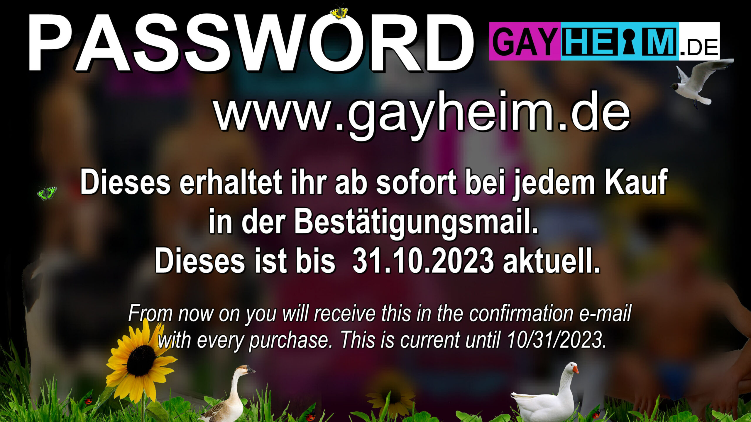 Gayhome Gayheim